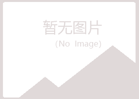 久治县夏日化学有限公司